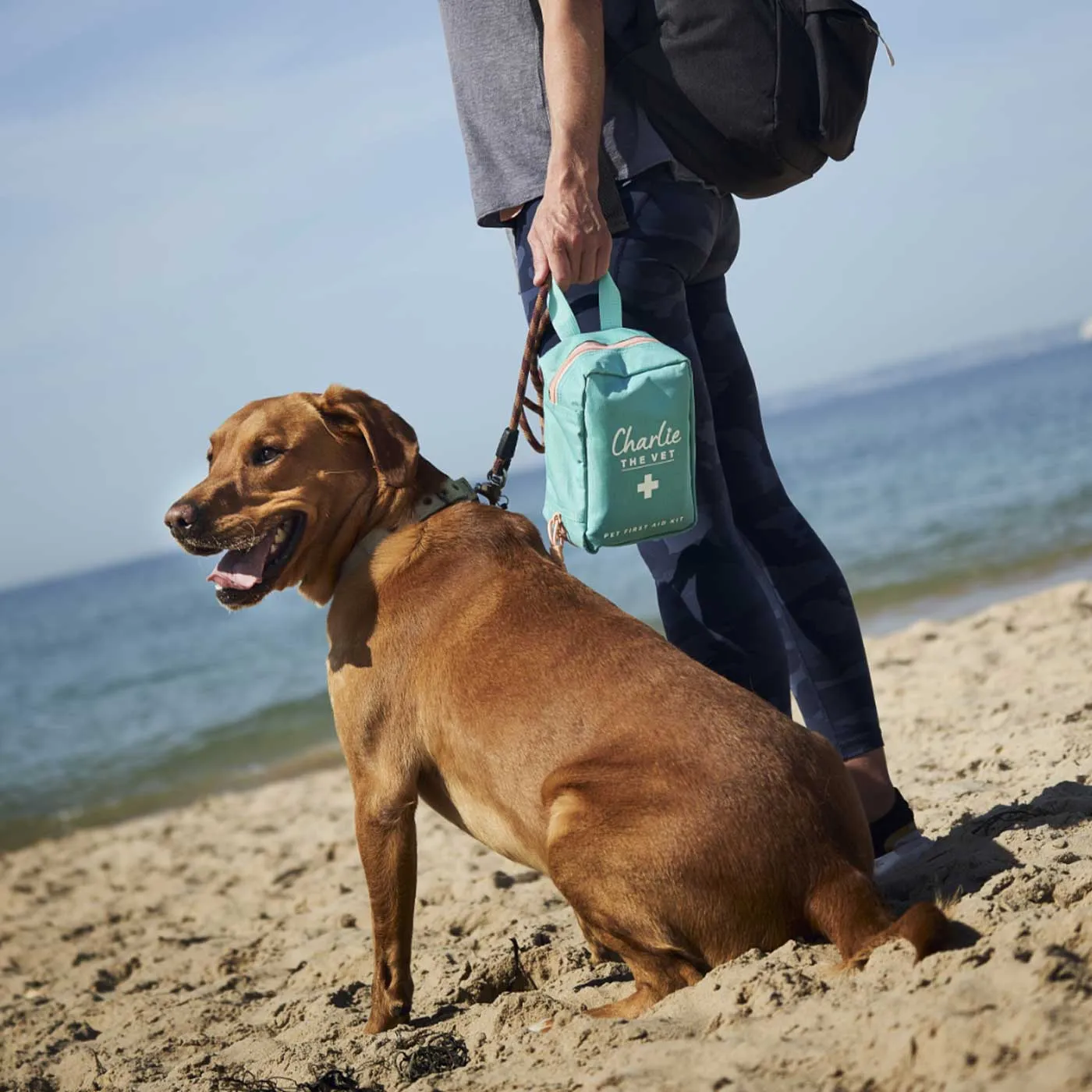 Charlie The Vet Pet First Aid Kit