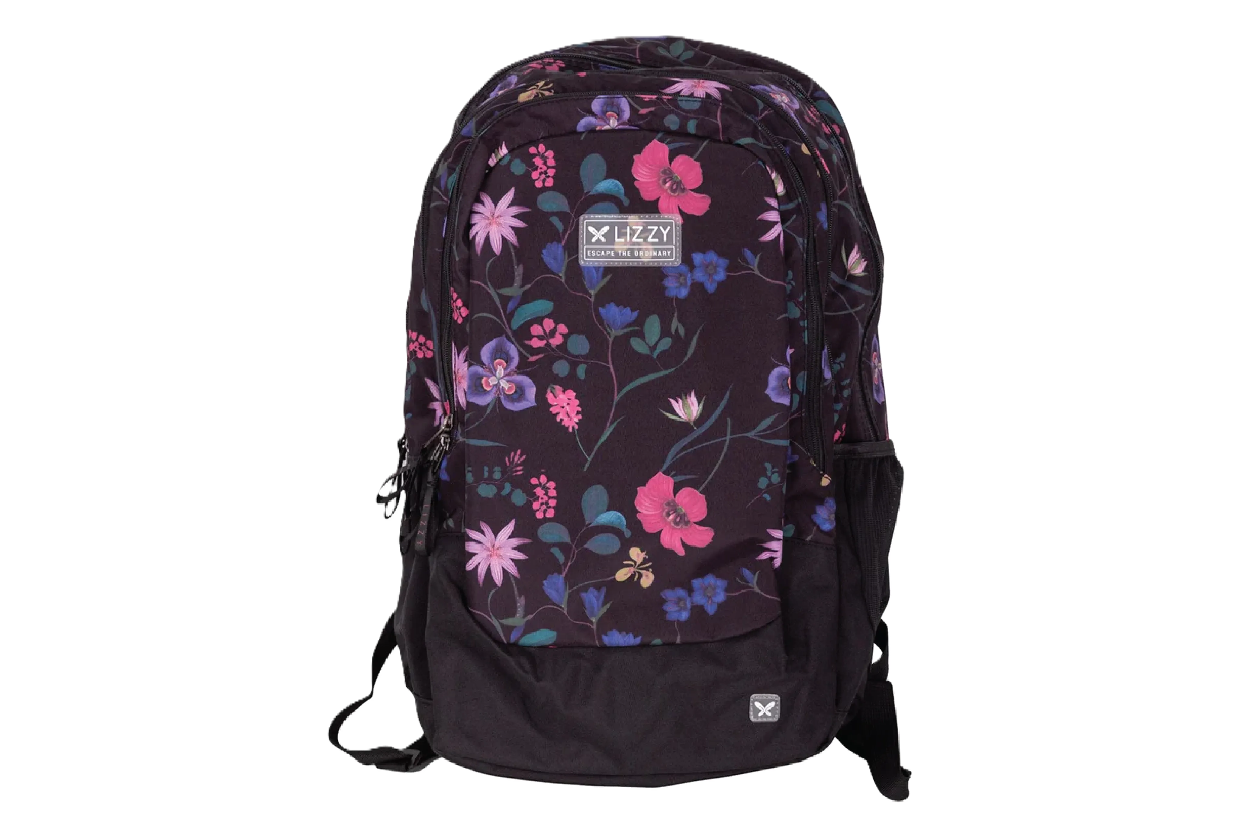 Lizzard backpack - Sterling 38L