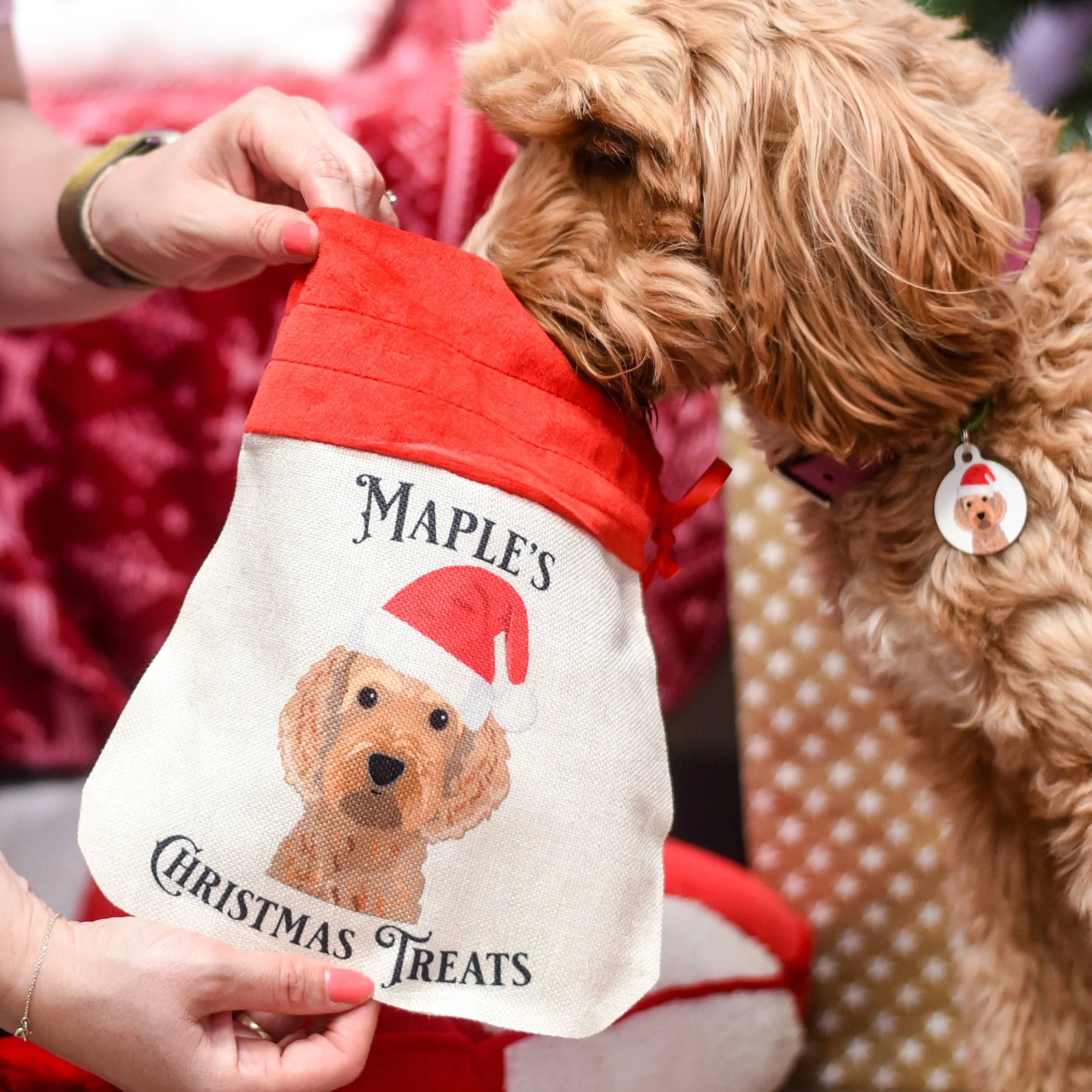 Personalised Dog Christmas Small Gift Bag