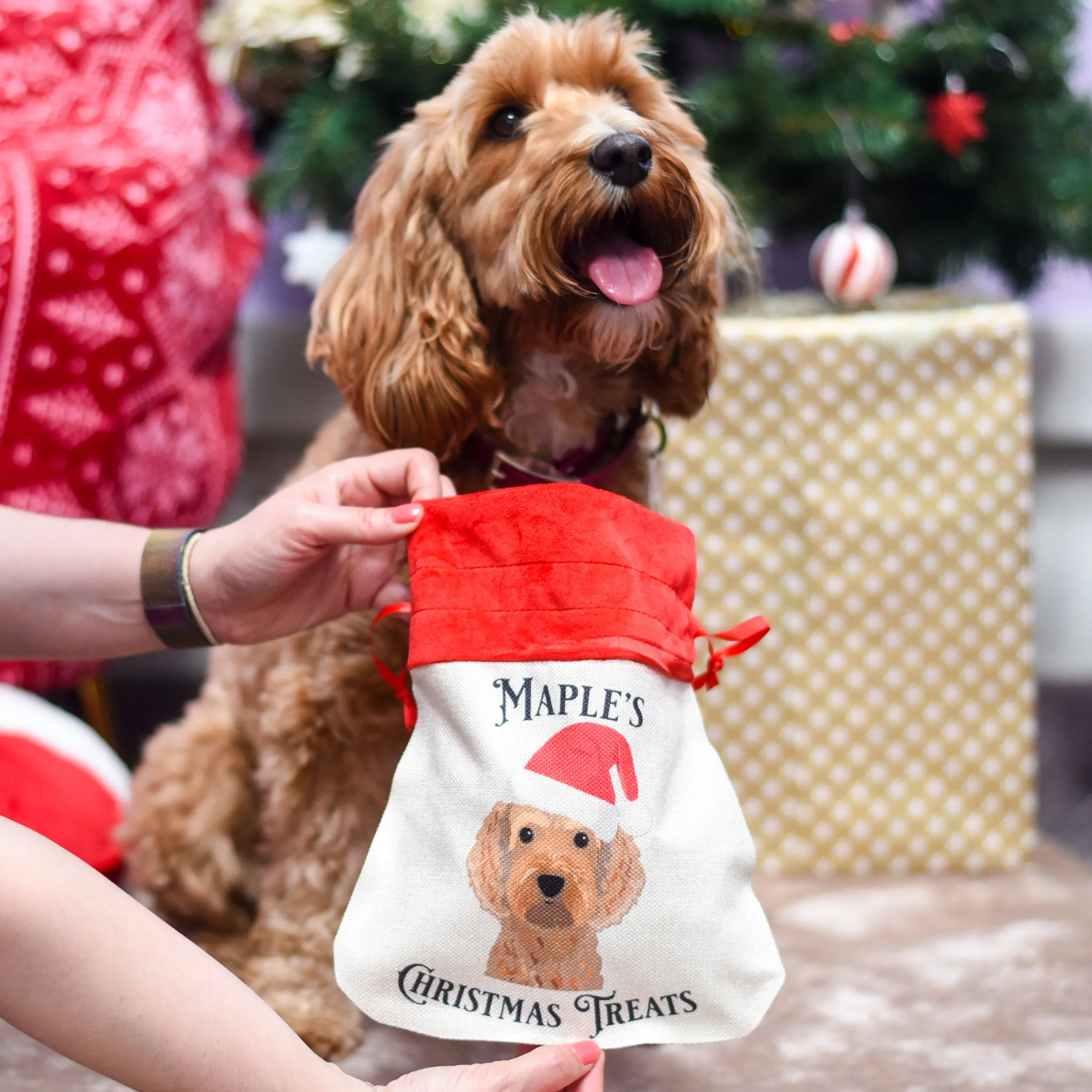 Personalised Dog Christmas Small Gift Bag