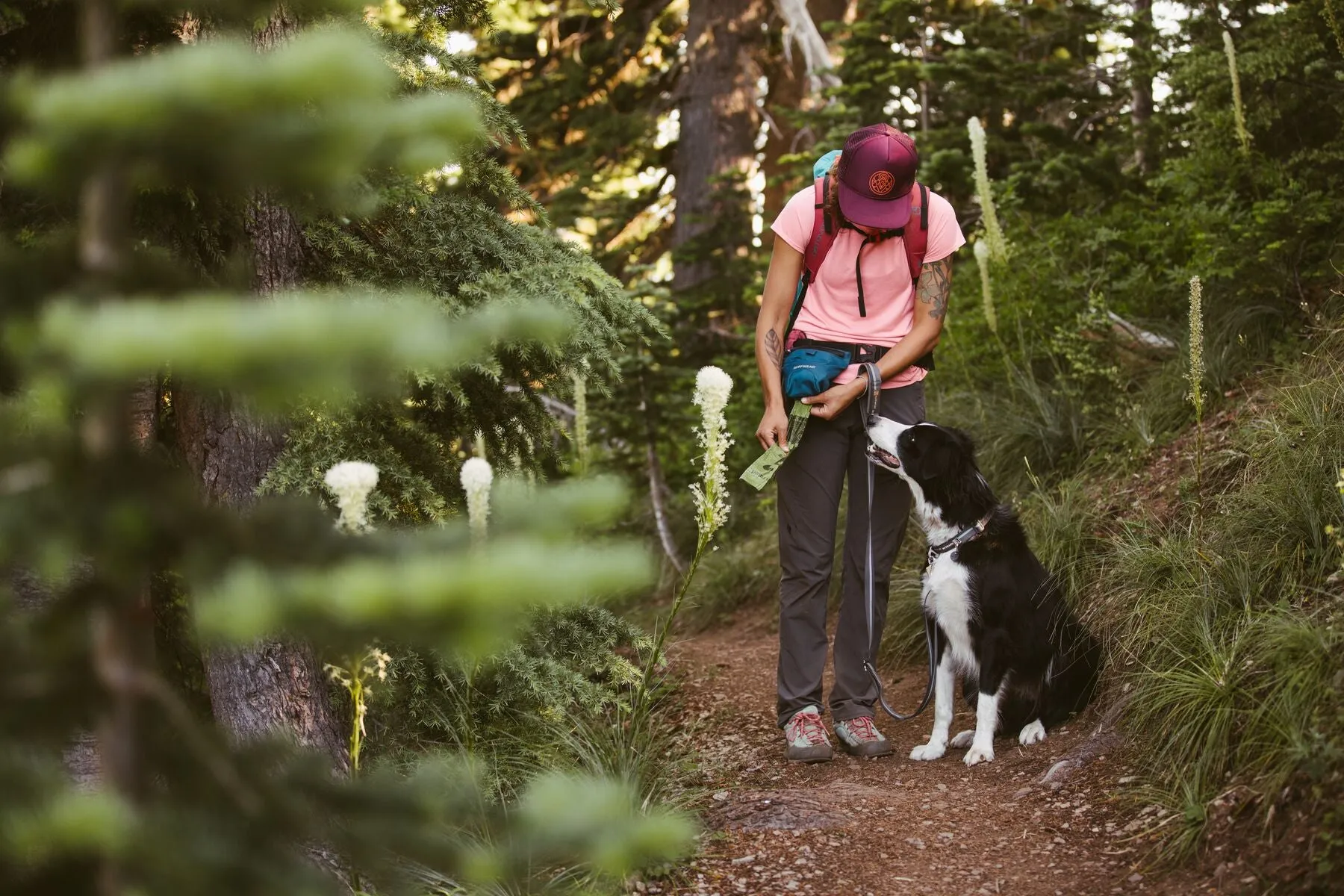 Ruffwear Pack Out Bag