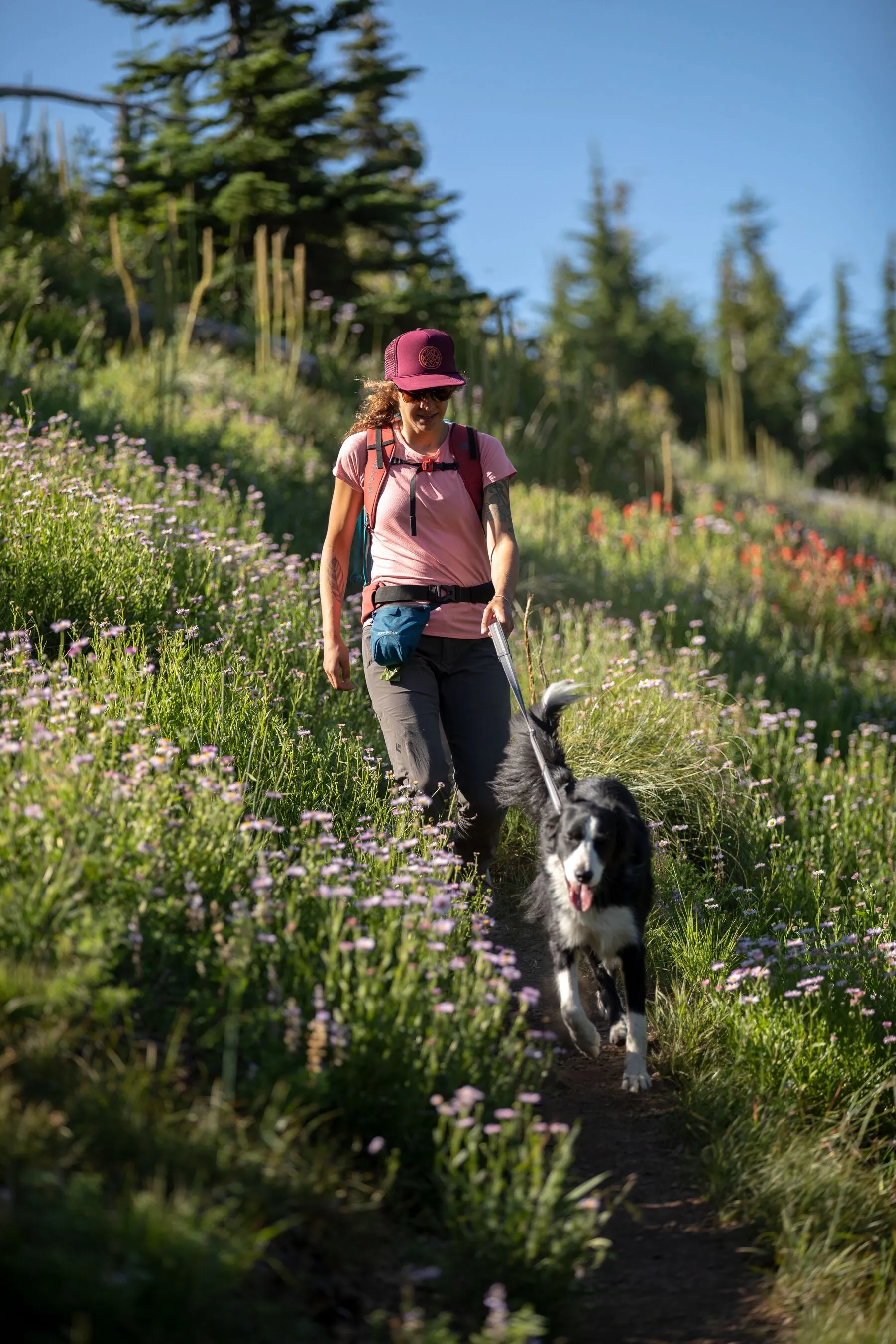 Ruffwear Pack Out Bag