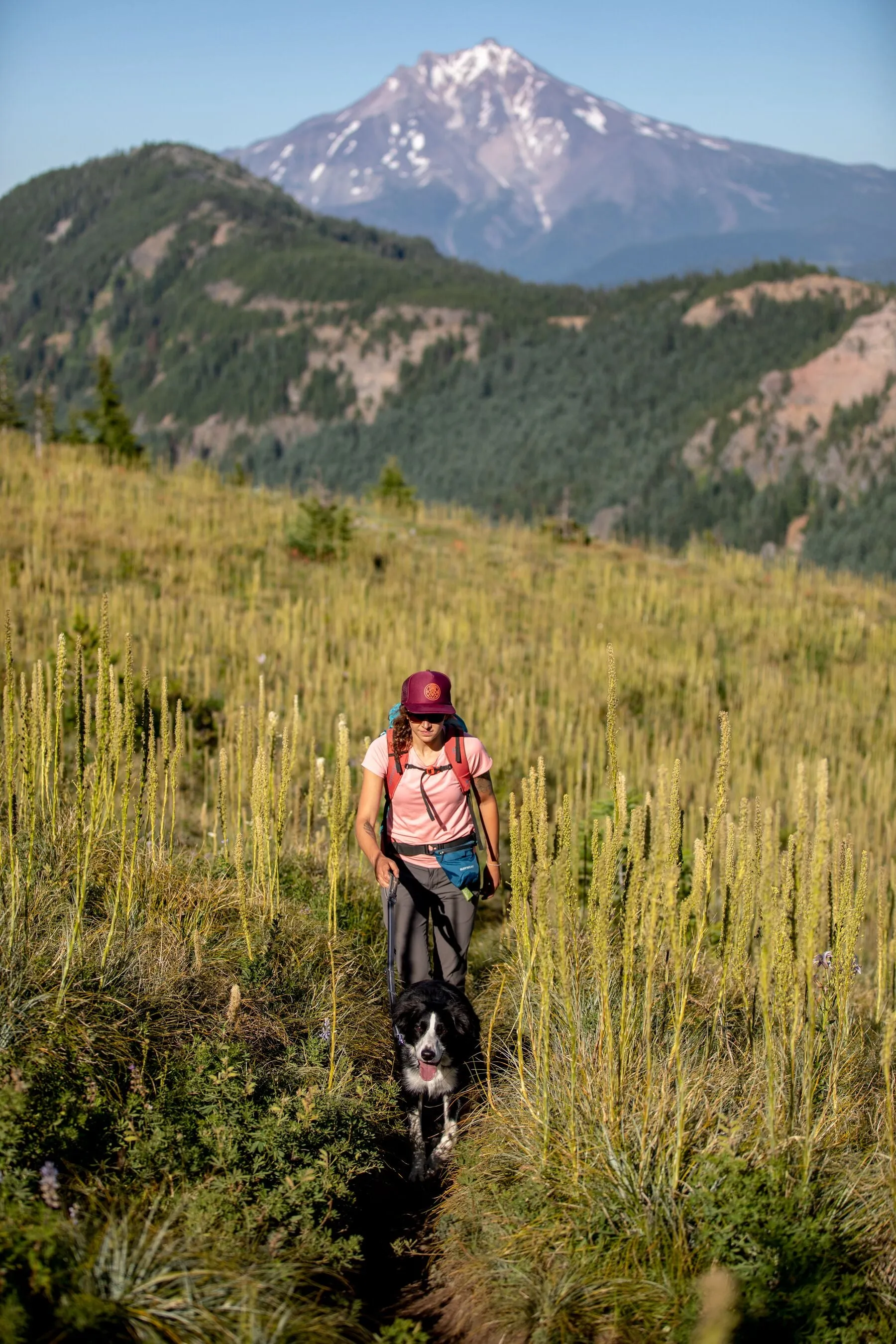 Ruffwear Pack Out Bag