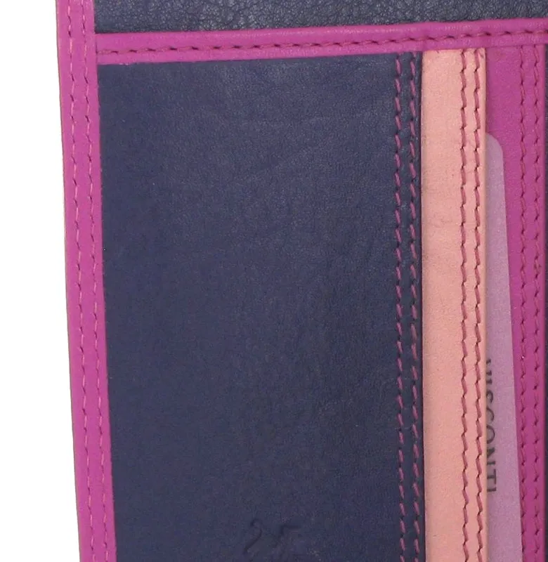 Visconti Rainbow Passport Holder RB75 Berry Multi