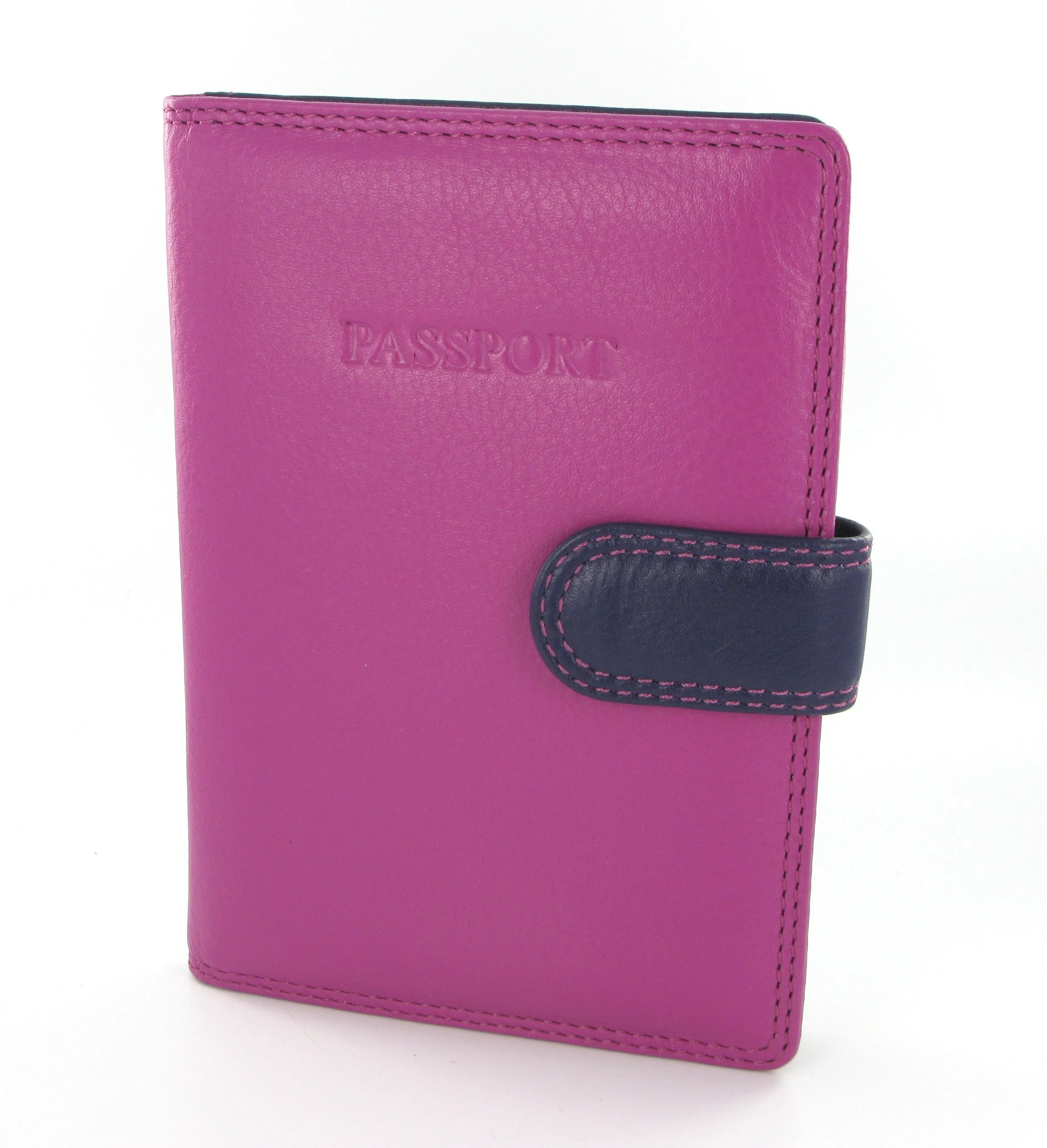 Visconti Rainbow Passport Holder RB75 Berry Multi